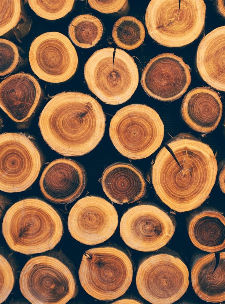 Stacked wood logs as texture